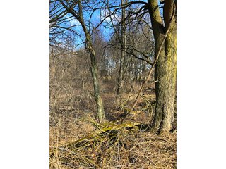 Property photo 7 - REAL ESTATE AUCTION - 30.5+/- ACRES IN 3 TRACTS IN KOSCIUSKO COUNTY, INDIANA